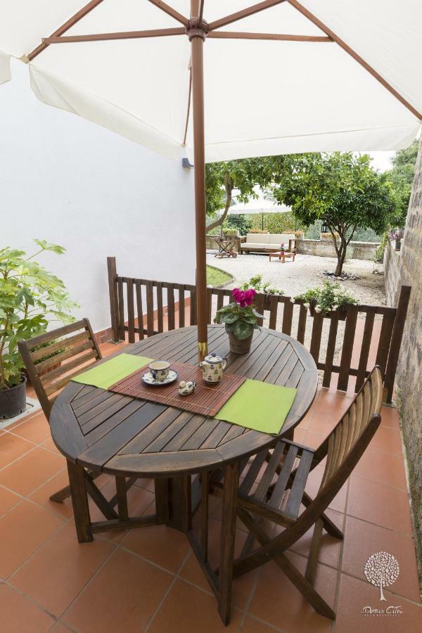 Domus Citri Bed & Breakfast Caserta Ngoại thất bức ảnh
