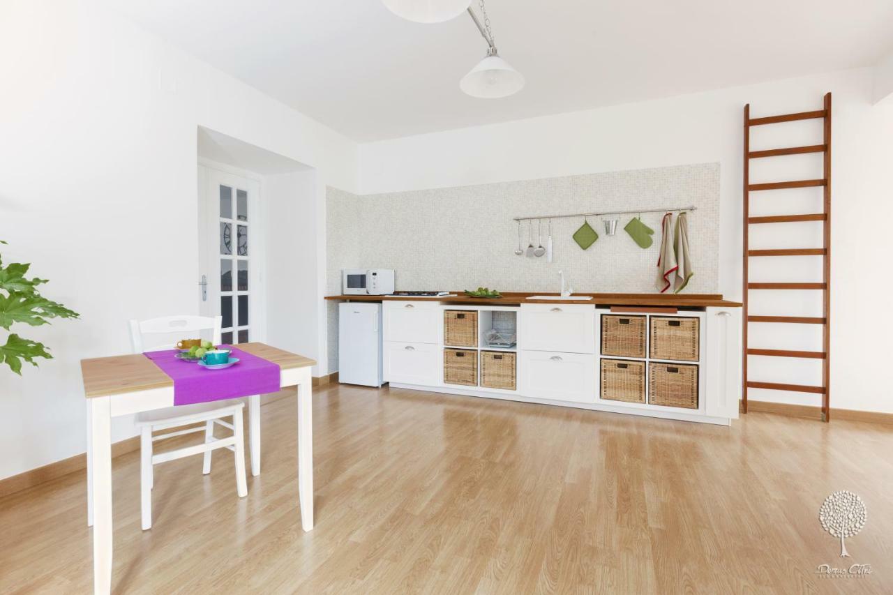 Domus Citri Bed & Breakfast Caserta Ngoại thất bức ảnh