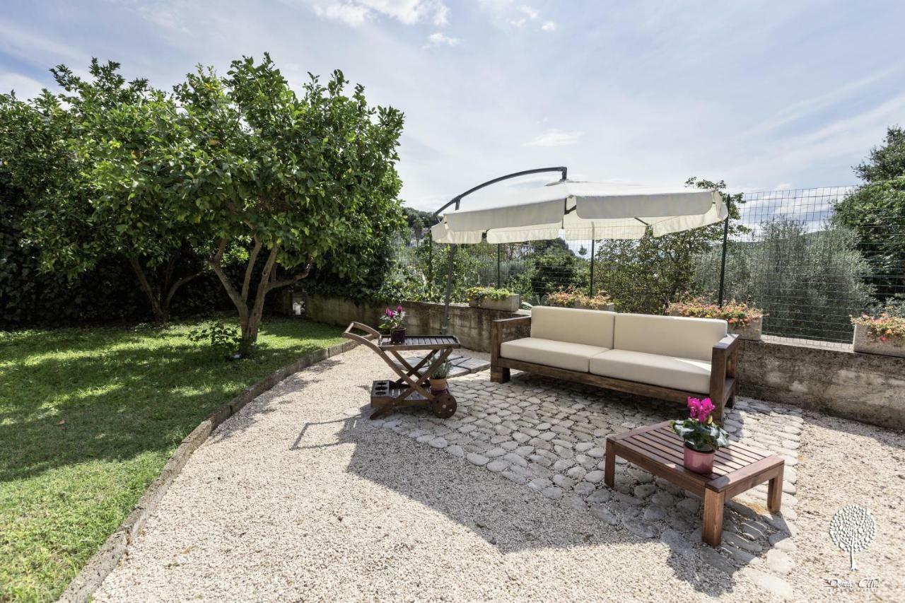 Domus Citri Bed & Breakfast Caserta Ngoại thất bức ảnh