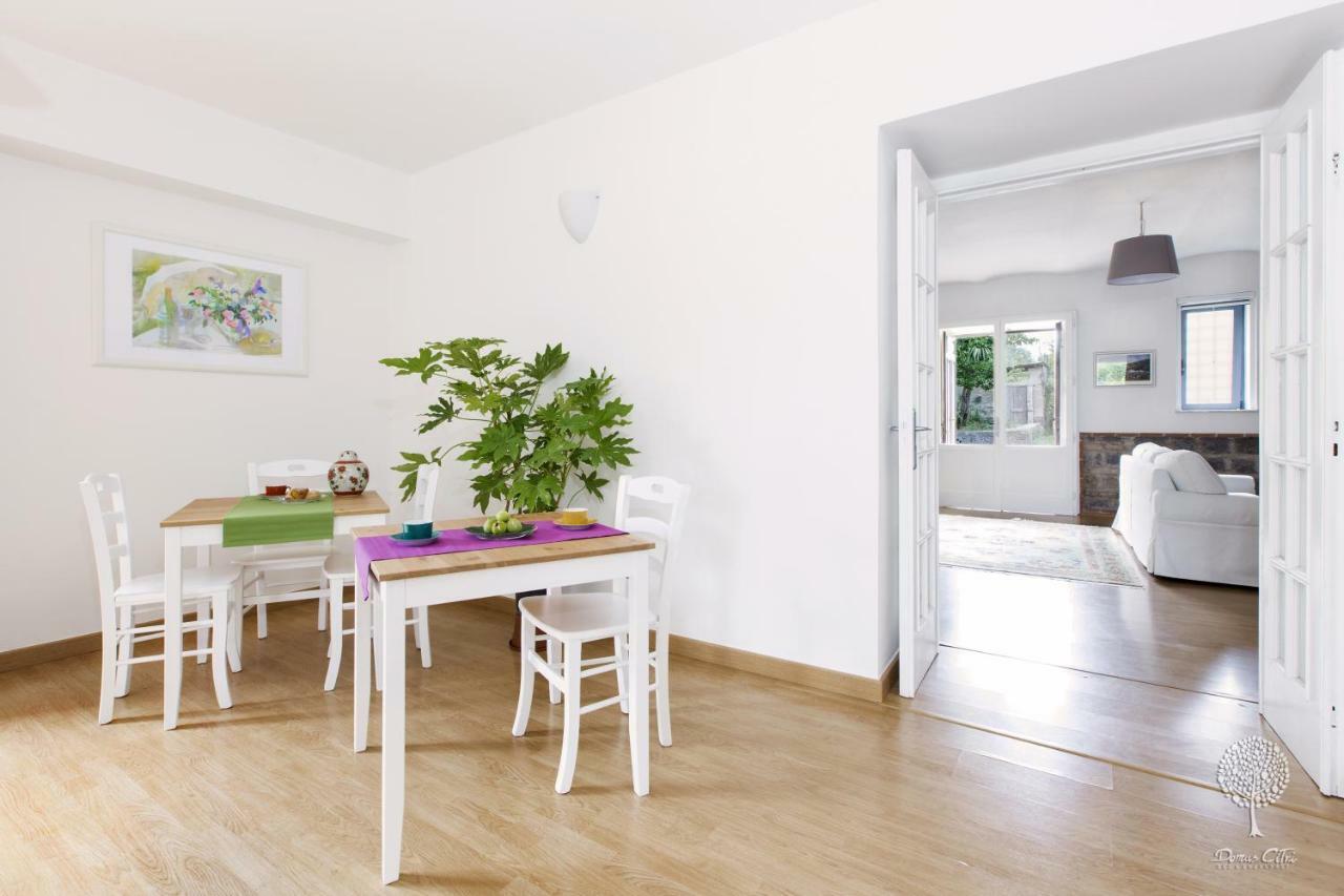 Domus Citri Bed & Breakfast Caserta Ngoại thất bức ảnh